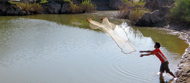 Throwing a net to fish
