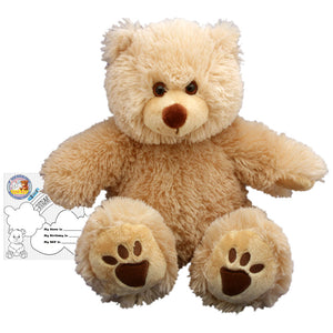 Stuffed Animals Plush Toy - “Furry” the Brown Bear 16” - CampWildRide.com
